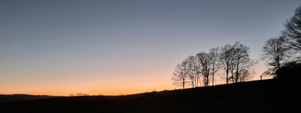 Abendsonne im Dezember