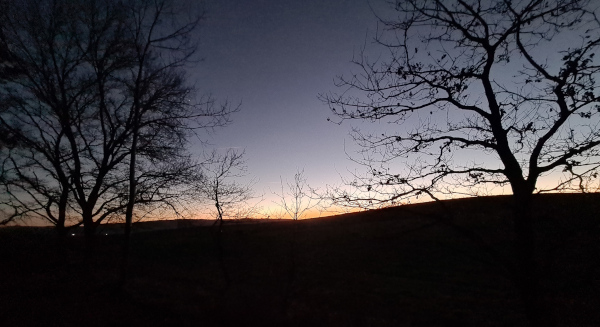 Abendsonne im Dezember