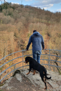 Arvo Teufelskanzel