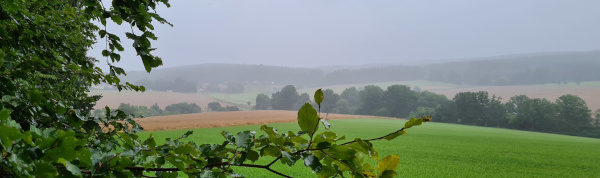 verregneter August 2021
