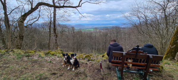 Blick vom Baier