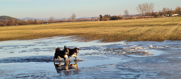 Anbaden 2021 ist Eisbaden