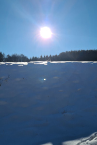 Jocy im Freiflug