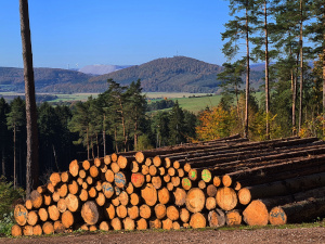 Krayenbergblick