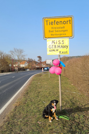 Trixie ist verwundert