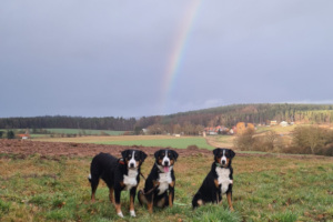 Regenbogen Weißendiez