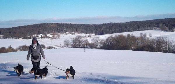 auf dem Rückweg