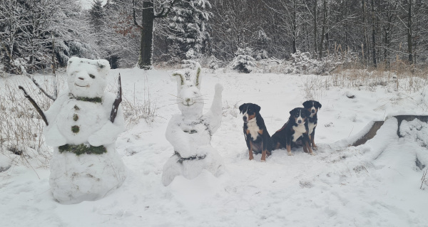Schneetiere