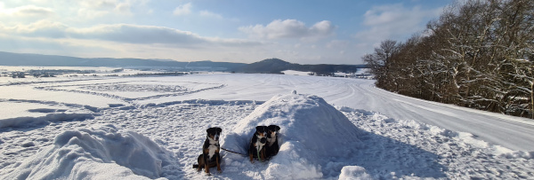 Schneewohnung