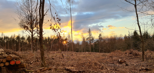 Sonnenuntergang