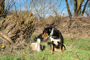 Trixie Kunststoffstorch
