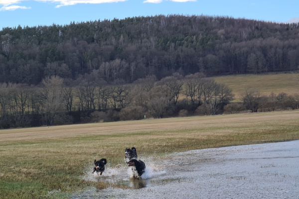 Wasserspaß