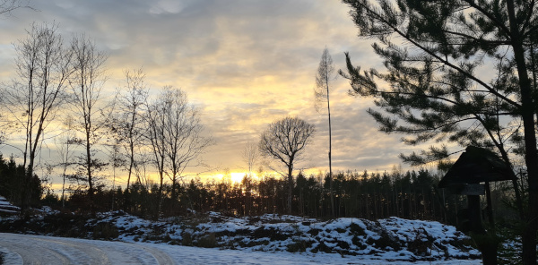 Abendliche Winterstimmung - Januar 2021