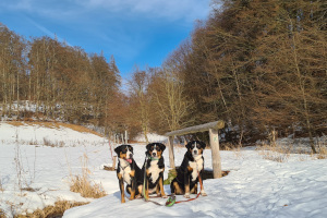 Schnee bei Steinbach