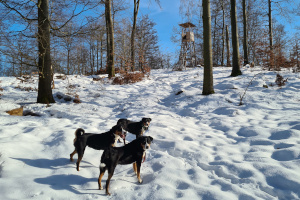 Schnee bei Steinbach