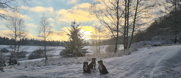 Winterlandschaft bei Ruhla