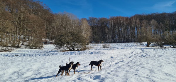 Schnee bei Steinbach