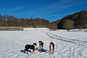 Schnee bei Steinbach