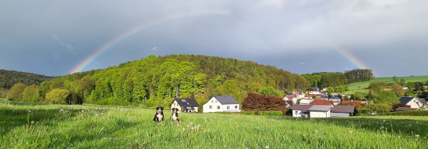 Regenbogen ;-)