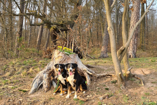 Ostern 2021