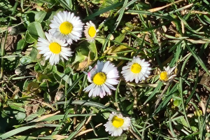 Frühling 2021