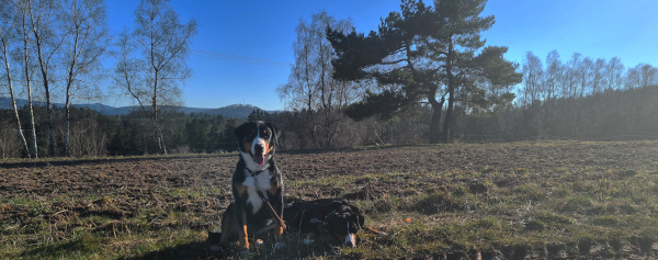 Wanderung zum Gansberg