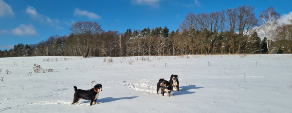 Schnee am Pfarrkopf