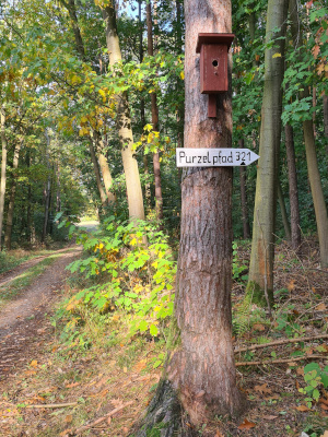 Purzelpfad 321