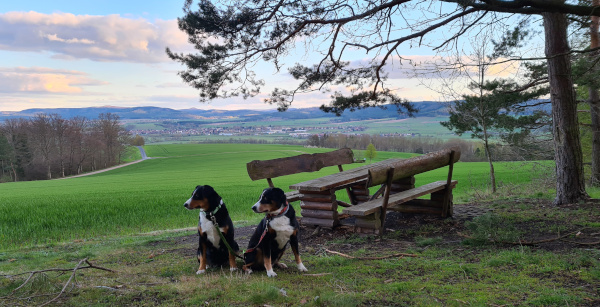 Schau ins Land