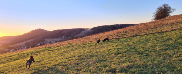 Sonne im Dezember