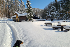 ...so viel Schnee