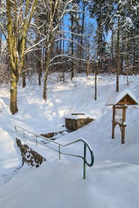 Tröpfelsbörnchen im Winterschlaf