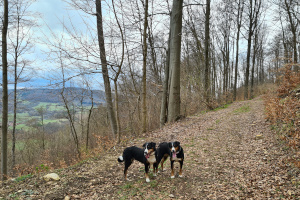 Der Aufstieg beginnt