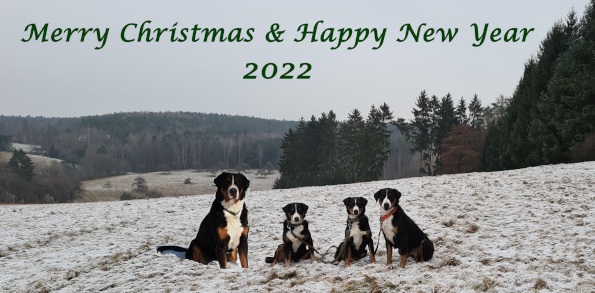 Weihnachtsgruesse
