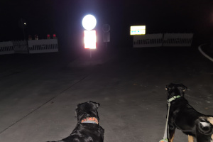 Kontrolle bei Nacht
