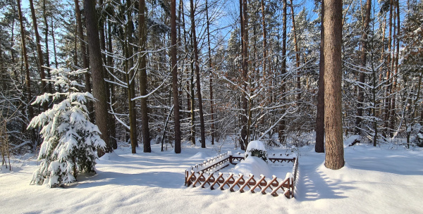 Zigeunergrab in Winterruhe