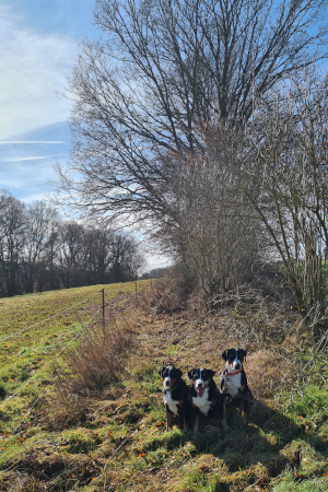 Alter Weißendiezer Weg
