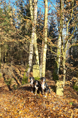 Grenzsteine in der Sonne