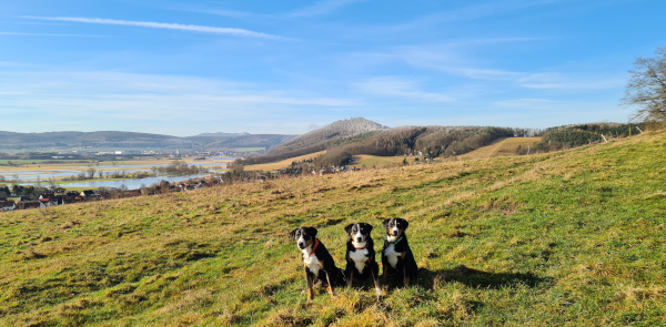 Spaziergang bei Frost