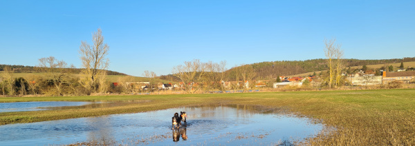 Pfotenbad im Februar