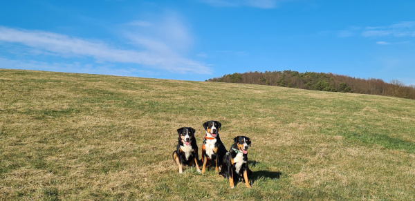 Die Gang am Rahberg