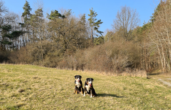 Am Rahberg