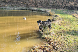 Anbaden