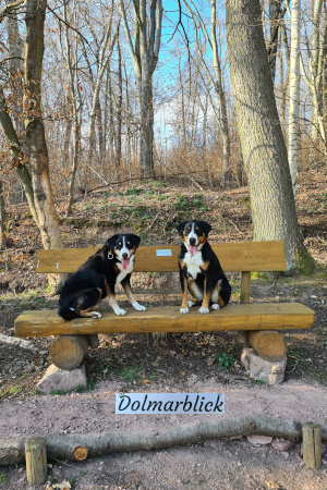 Dolmarblick