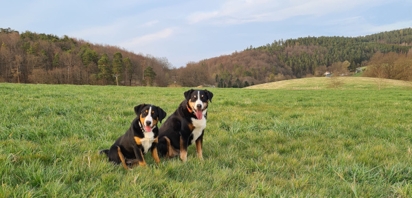 Rahberg - Ellie - Hanna