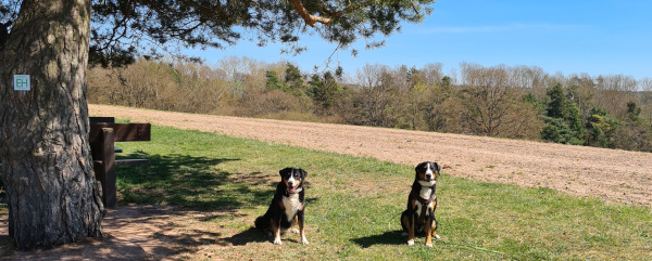 Frosti und Ellie