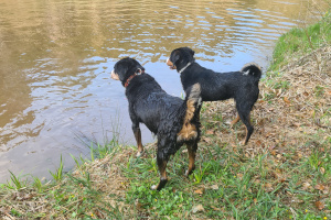 Schwimmkurs