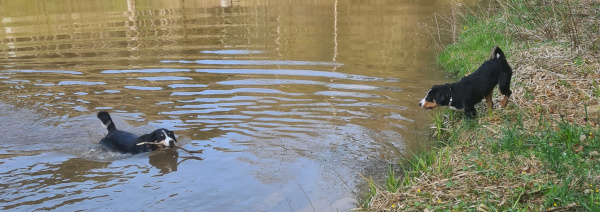 Schwimmkurs