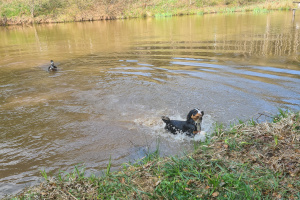 Schwimmkurs