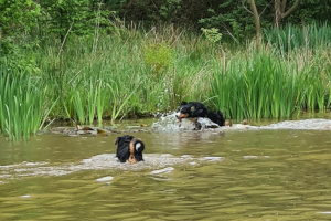 Badezeit